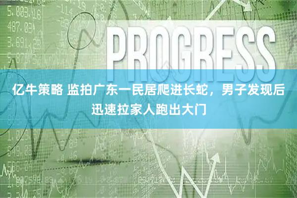 亿牛策略 监拍广东一民居爬进长蛇，男子发现后迅速拉家人跑出大门