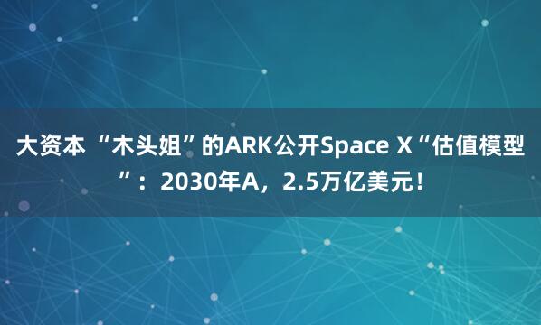 大资本 “木头姐”的ARK公开Space X“估值模型”：2030年A，2.5万亿美元！