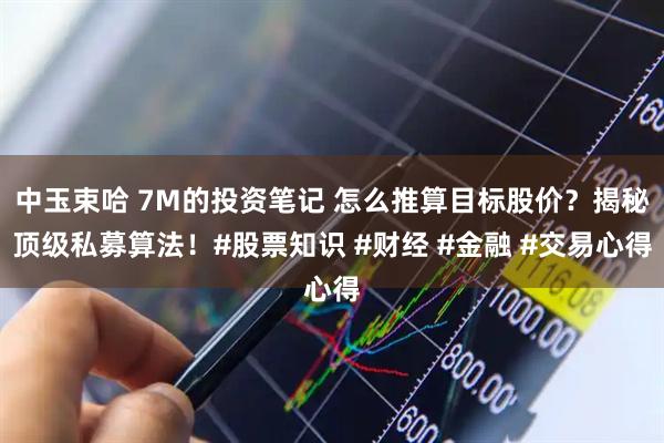 中玉束哈 7M的投资笔记 怎么推算目标股价？揭秘顶级私募算法！#股票知识 #财经 #金融 #交易心得