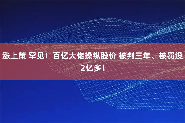 涨上策 罕见！百亿大佬操纵股价 被判三年、被罚没2亿多！