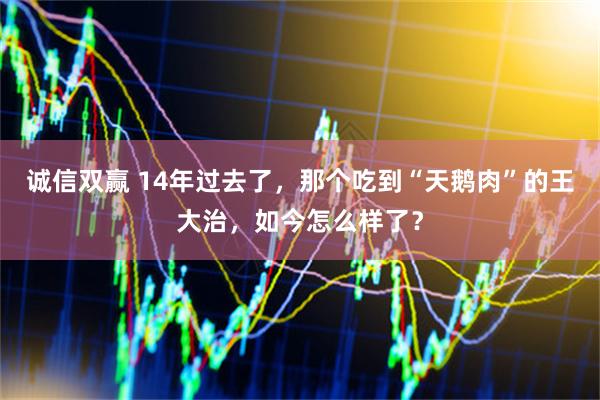 诚信双赢 14年过去了，那个吃到“天鹅肉”的王大治，如今怎么样了？